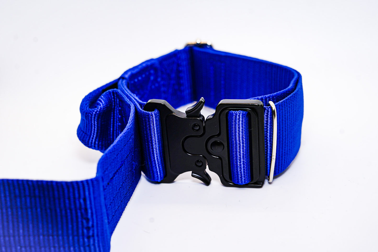 K9 Collar